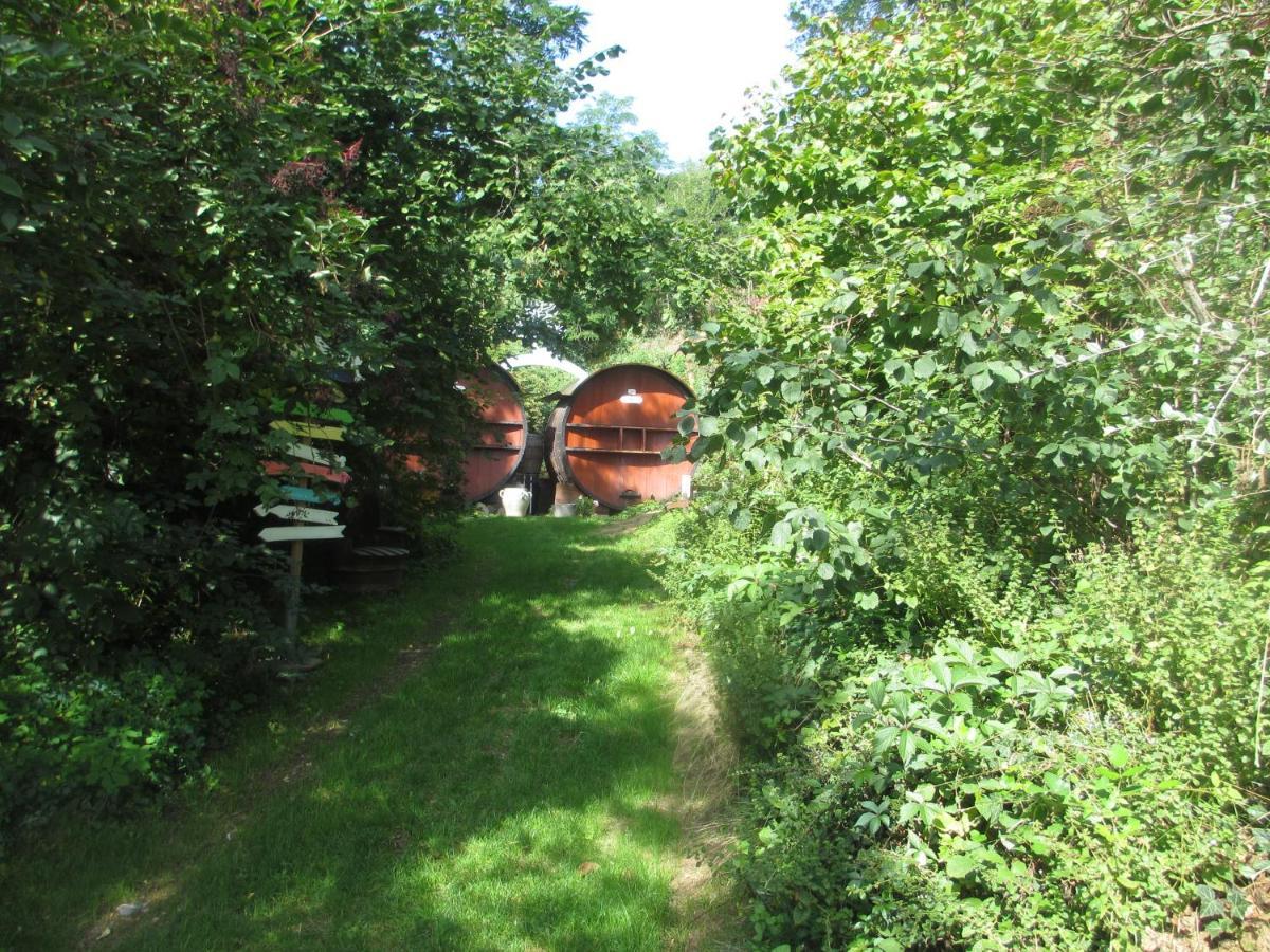 Foudres Du Chene Du Py Bed and Breakfast Villié-Morgon Esterno foto